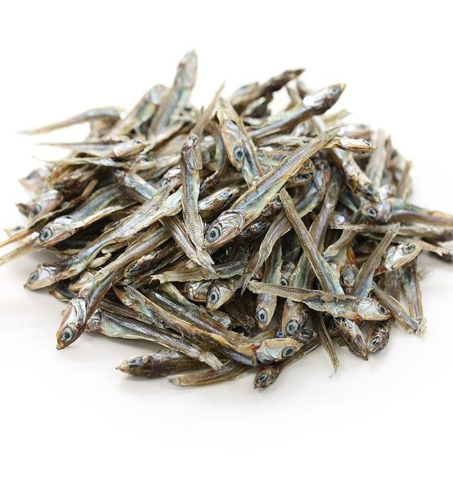 Anchovy Fish
