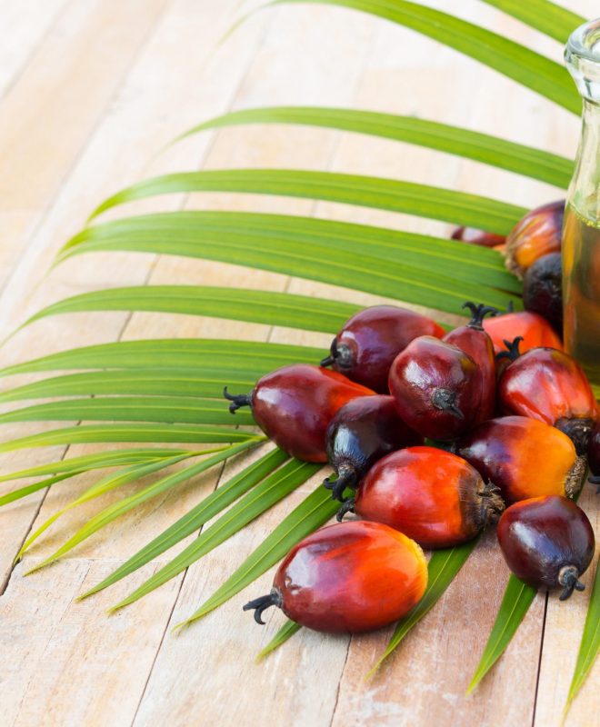 Palm oil